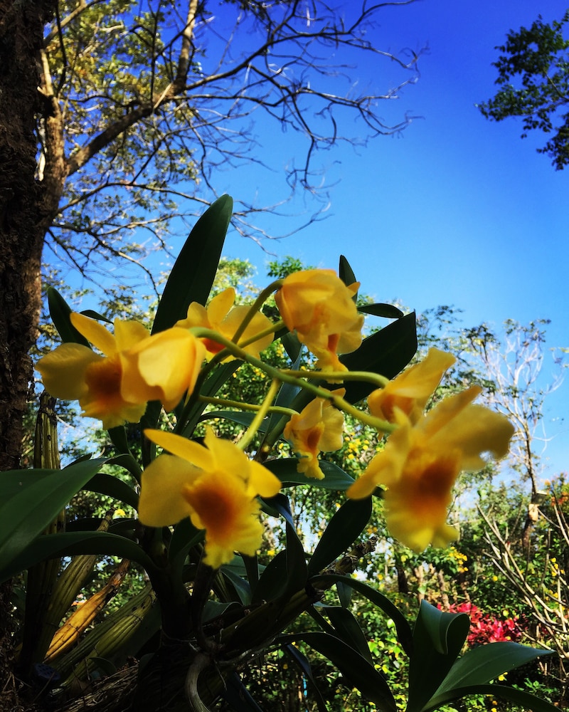 Khaoyai Nature Retreat