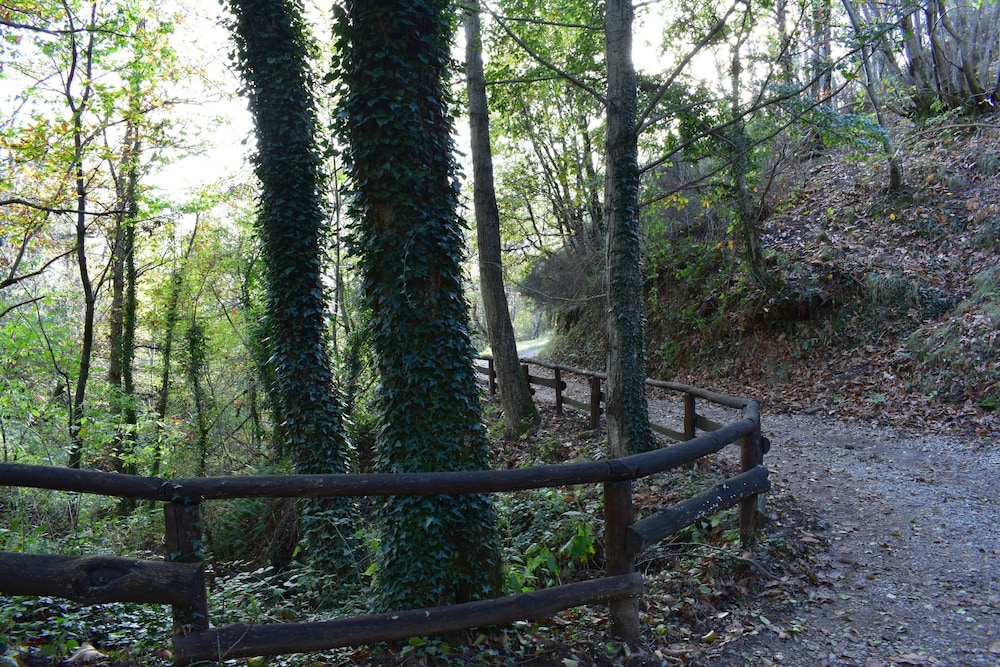 3 Rooms Flat in a Green Tuscany Valley view 5