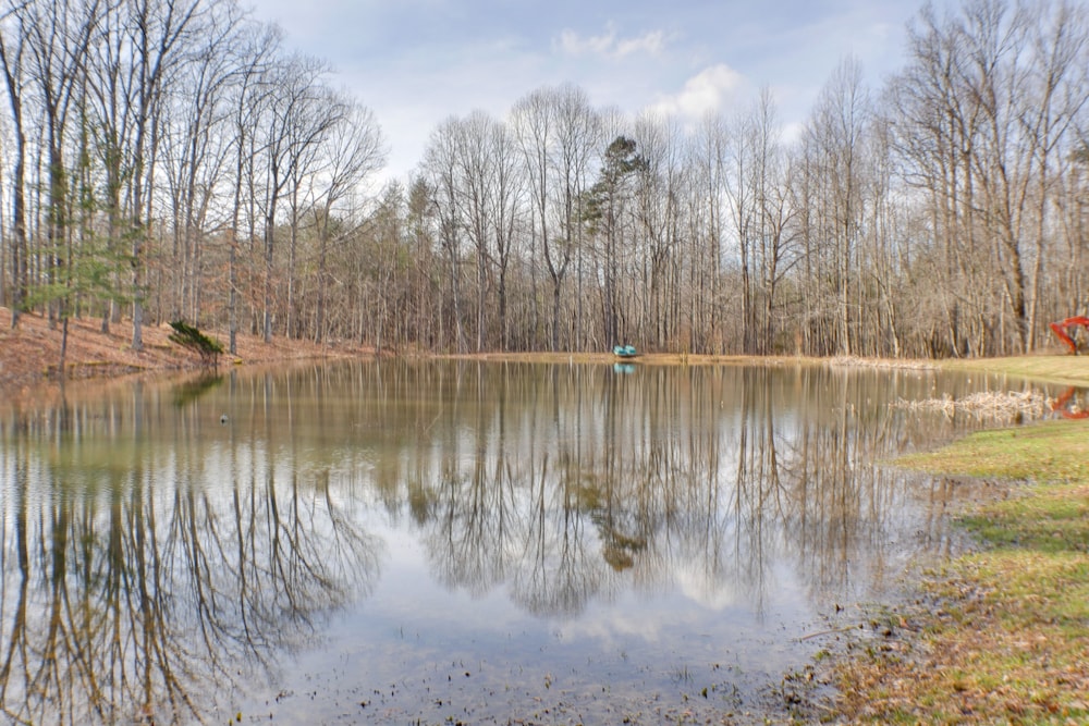 Dog-friendly Georgia Home w/ Grill  Fishing Pond! - Property Image 6