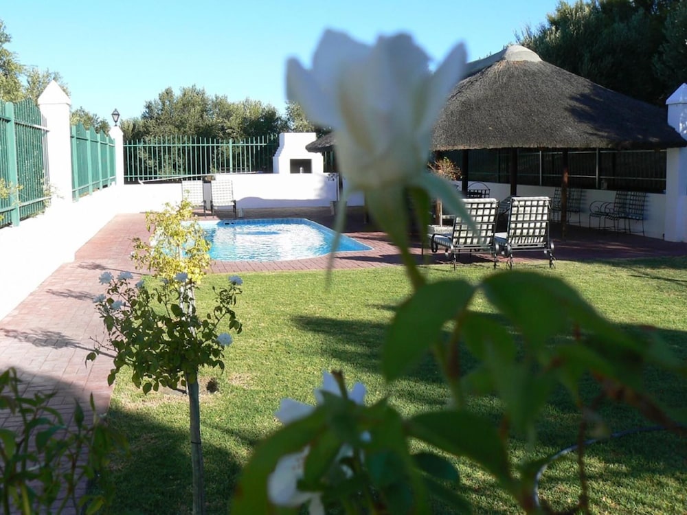Olive Grove Guest Farm