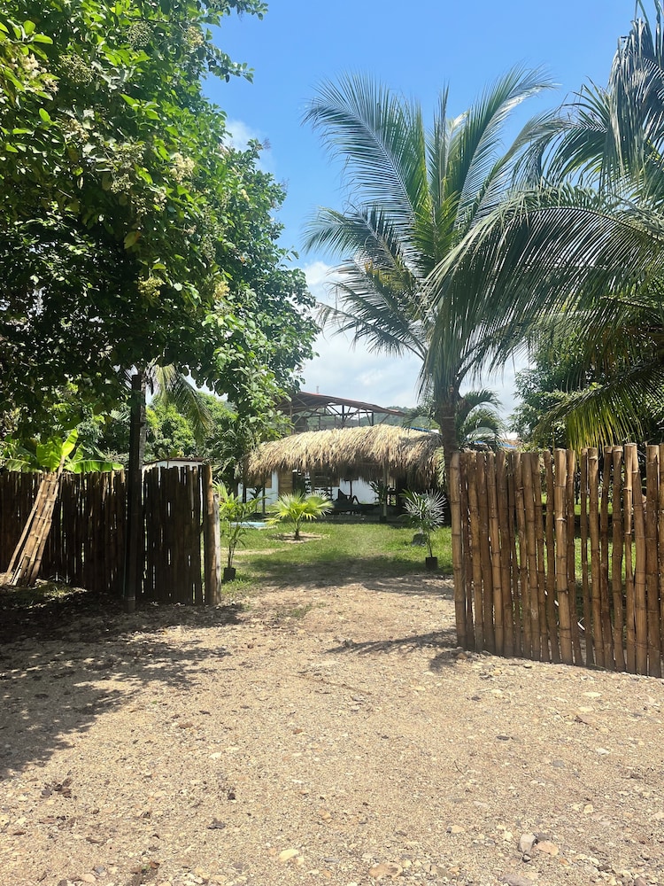 Tree of Life - Hostel
