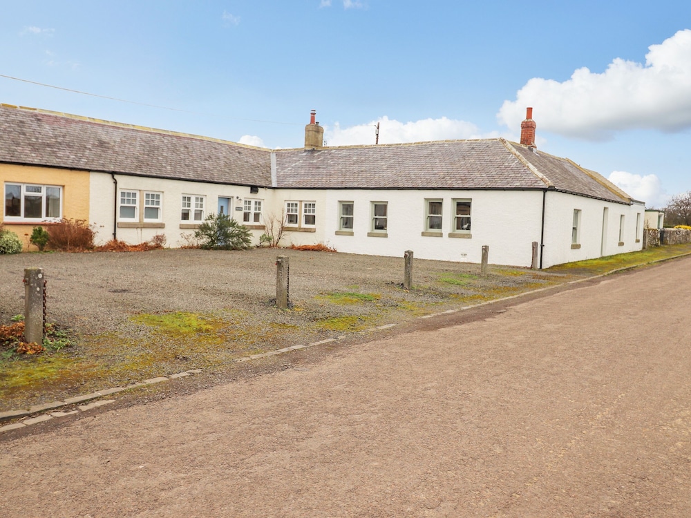 Farnelea