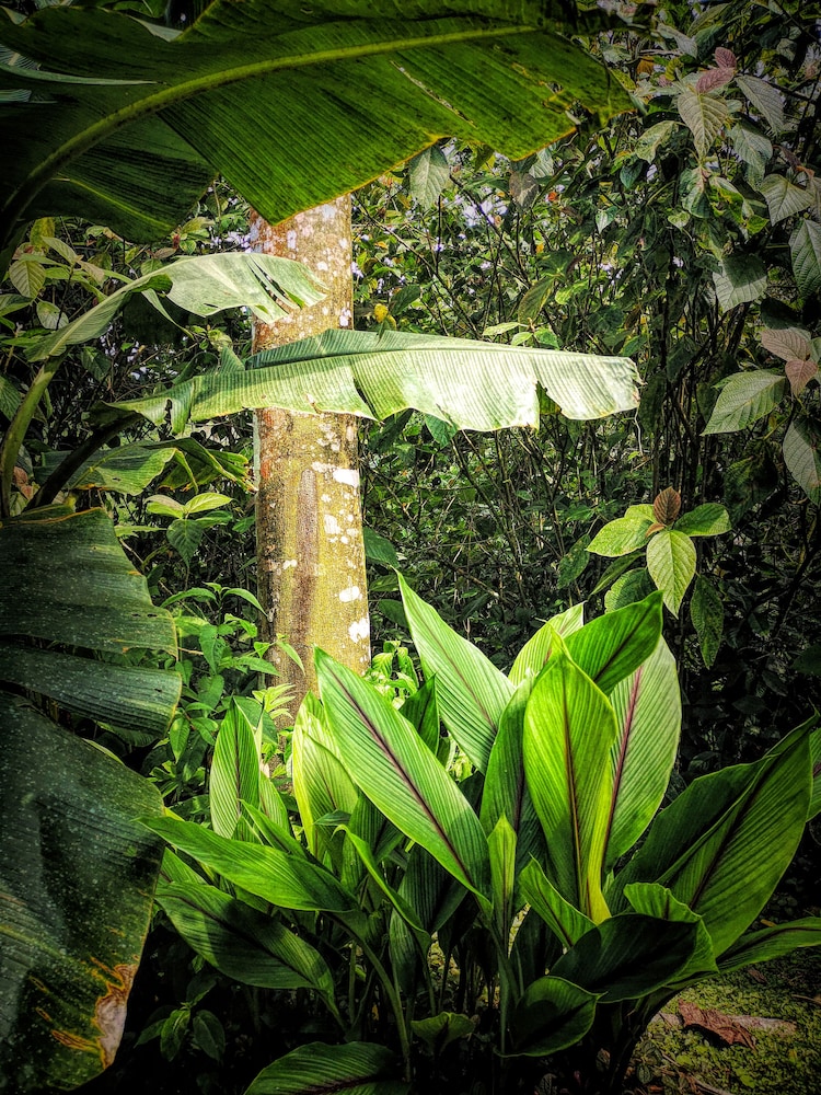 Photo 47