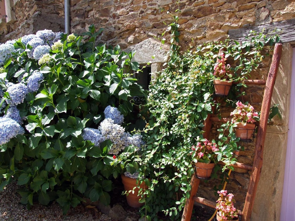 Domaine de Lasfonds