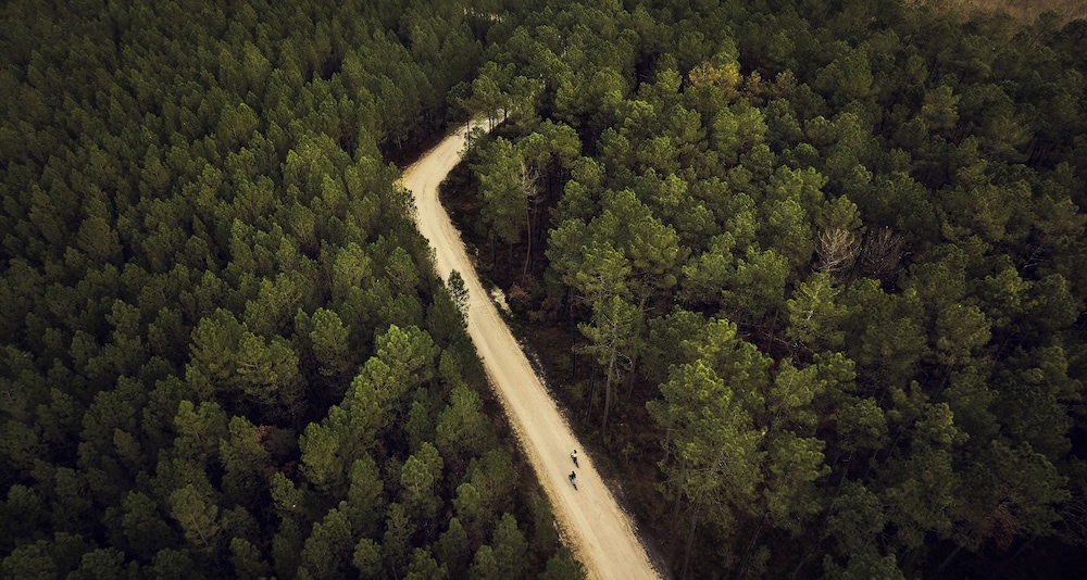 Center Parcs Les Landes de Gascogne