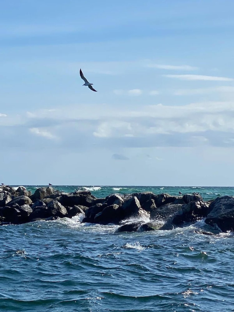 Blue Surf 22