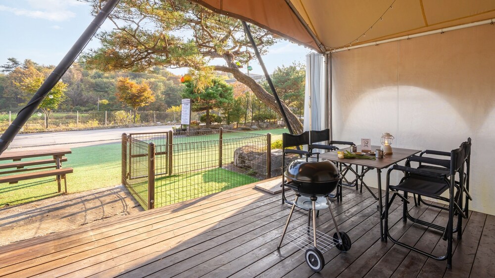Gapeyong Fourseason Pet Glamping Caravan