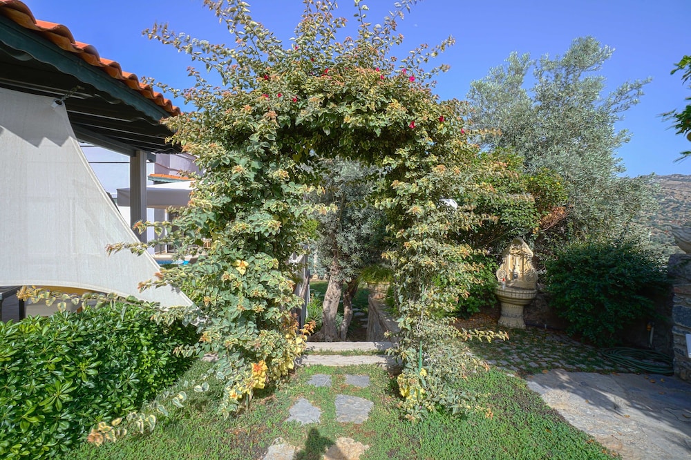 Villa Olivia