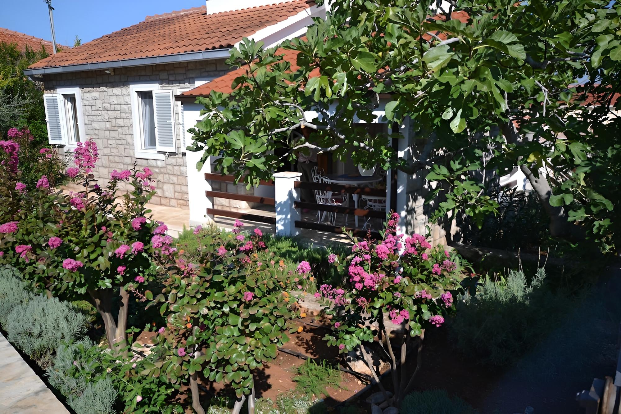 Photo 49