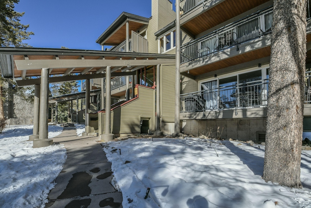 Pines 2169