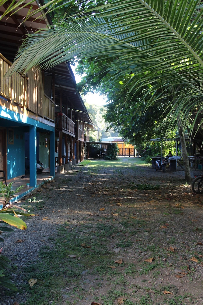 House Number 3 Pura Vida