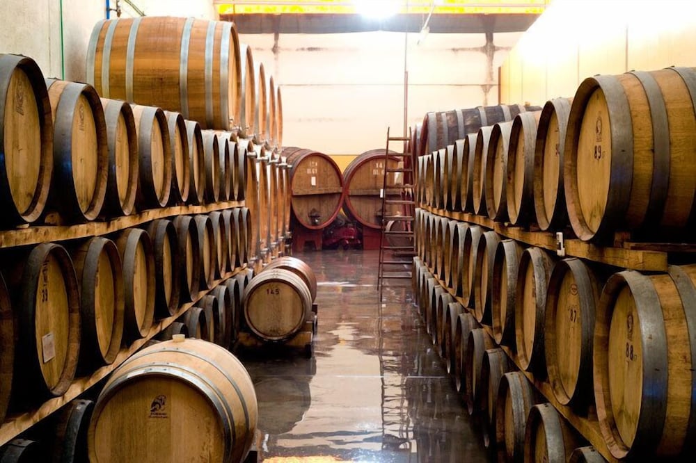 Tenuta Cappallotto
