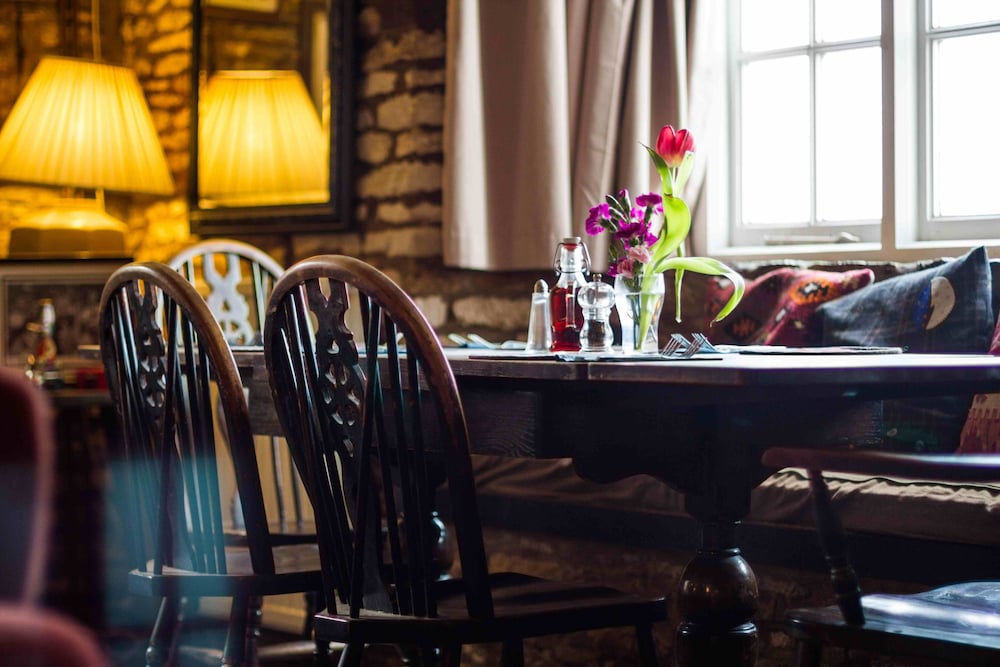 The Holford Arms - Campground
