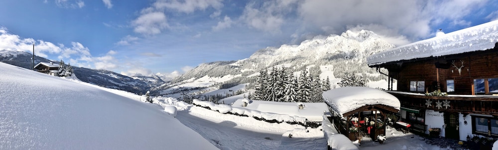 Alpbach Bergwald