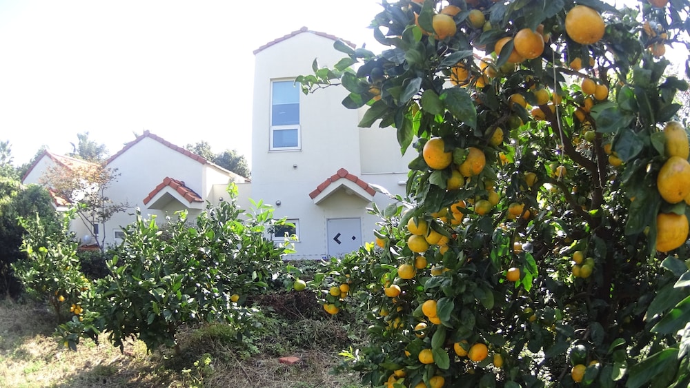 Memory In Jeju Pension
