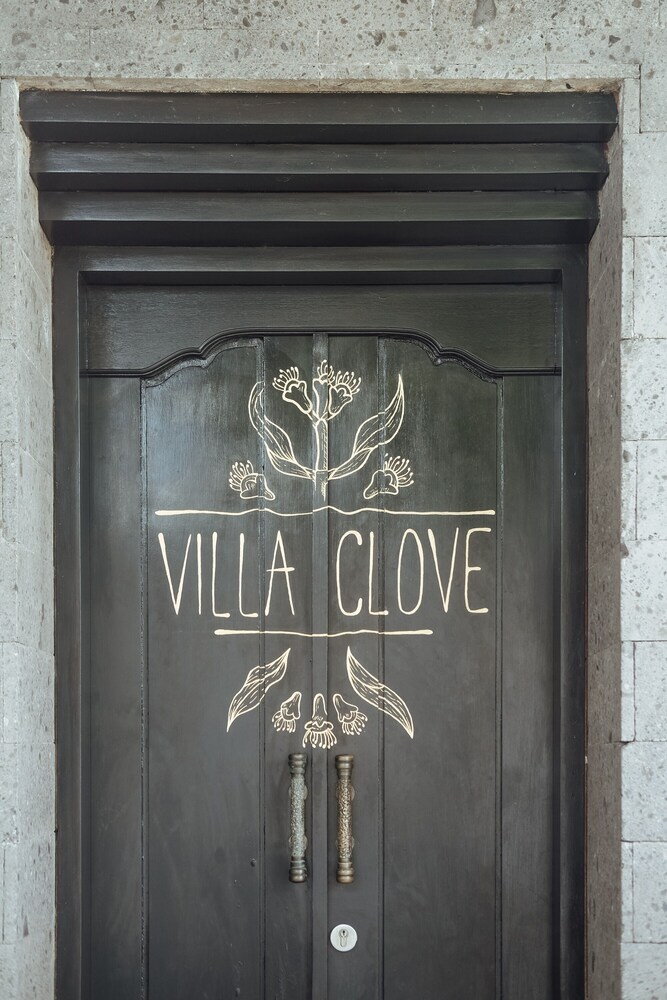 Villa Clove Cemagi view 5