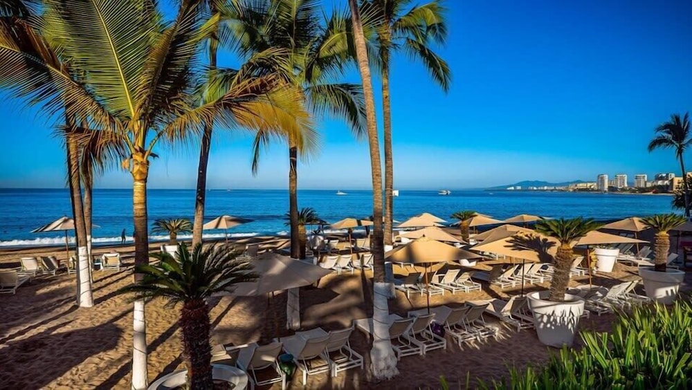 Oceanview 3BR Apt With Beach Access - Pool - Gym