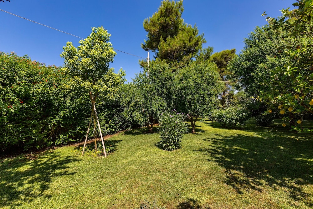 3111 Villa Carra by Perle di Puglia view 3