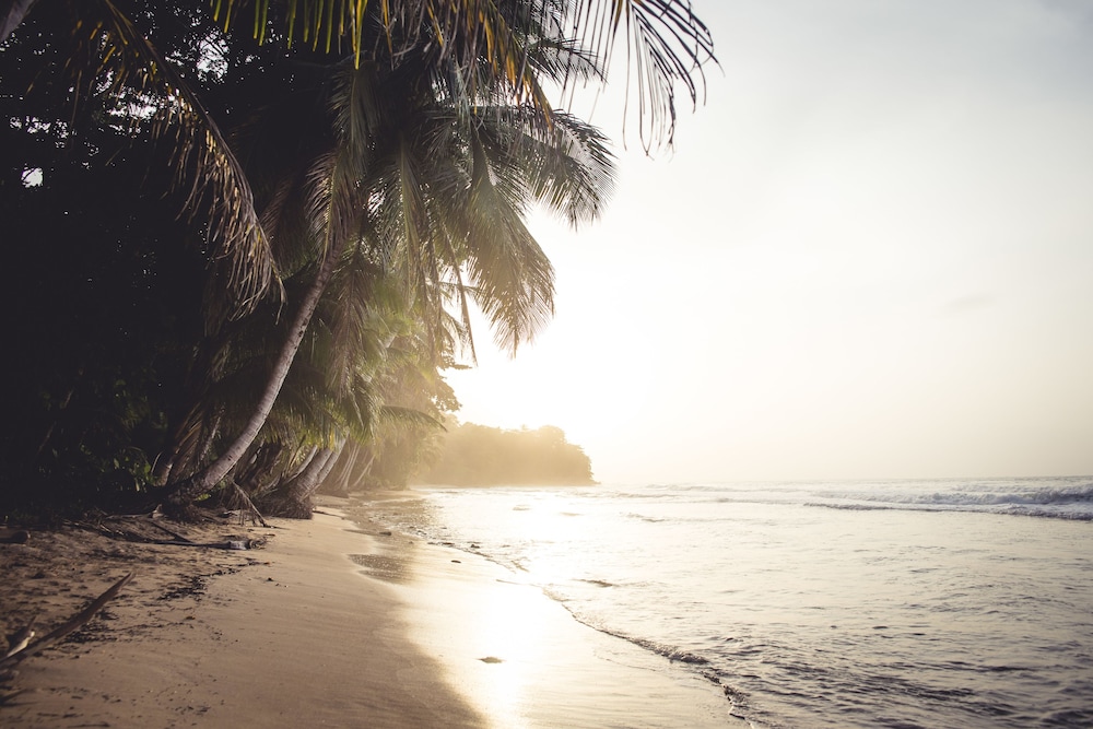 Tree House Beachfront Lodge