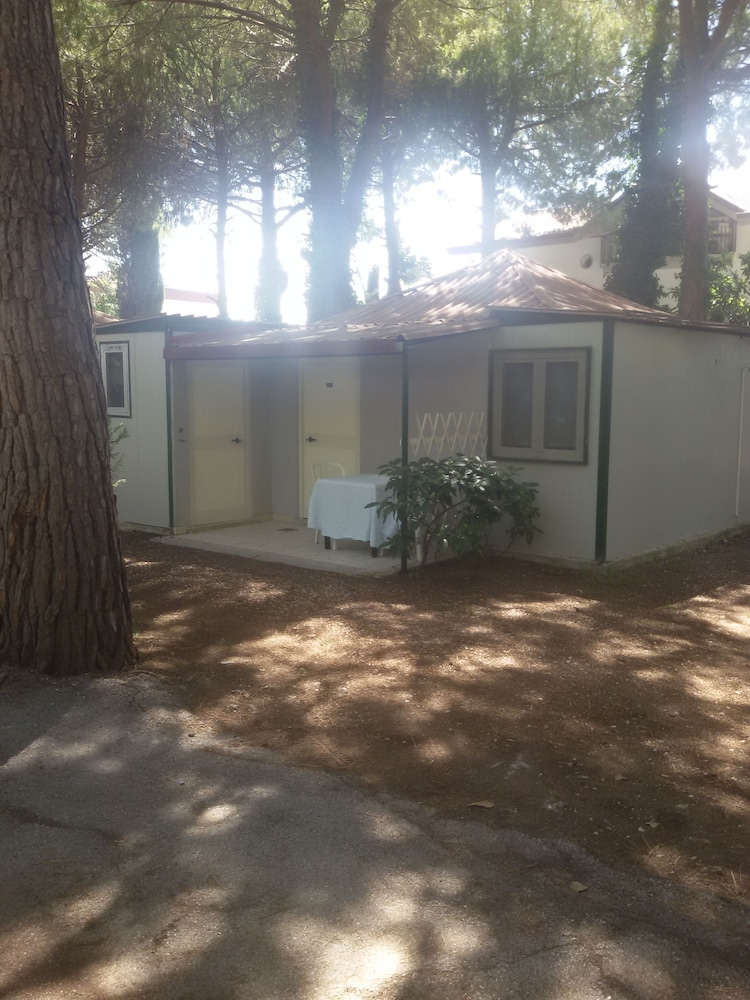Parco delle Viole