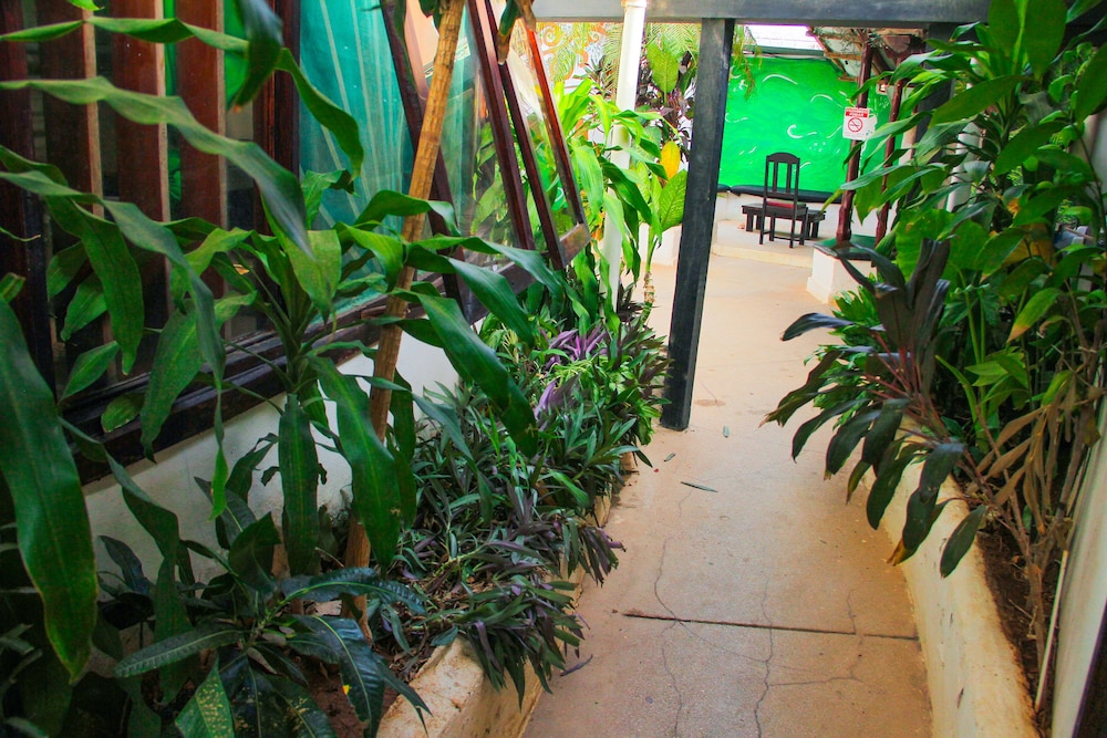 Pura Vida Hostel
