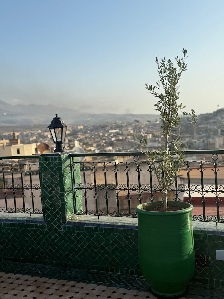 Riad citronnier