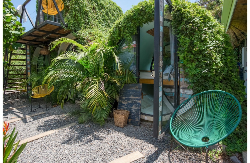 Selina Jaco - Hostel