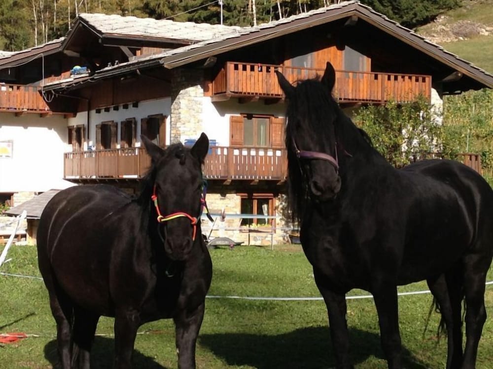 Agriturismo Le Reve