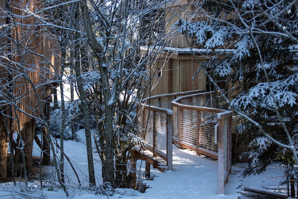 Domaine de L'authentique Cabanes Dans les Arbres view 2