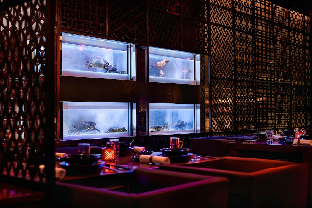 Mumbai Vacations - Grand Hyatt Mumbai Hotel and Serviced Apartments - Property Image 80