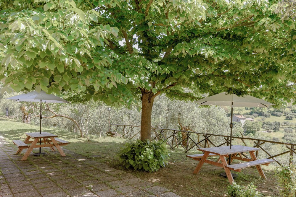 Photo 45
