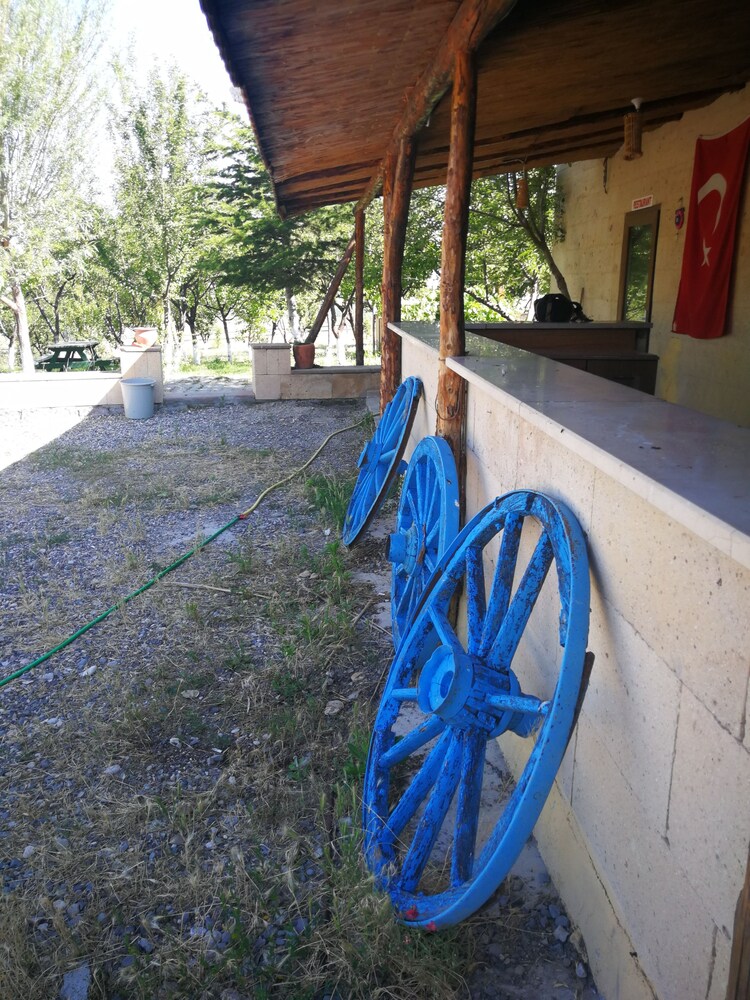 Photo 11