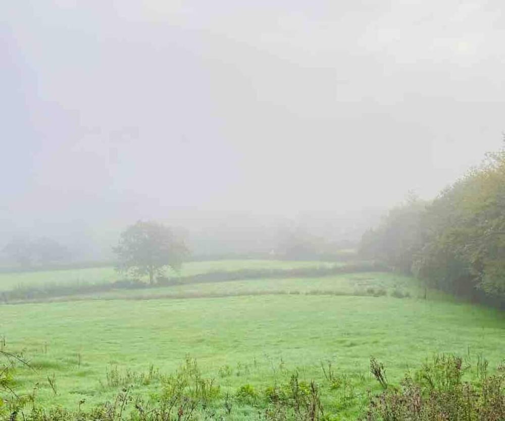 Photo 365