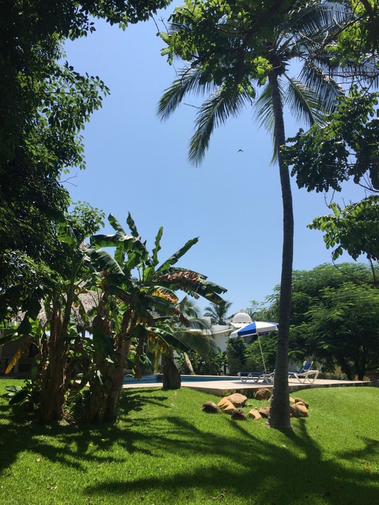 Photo 19