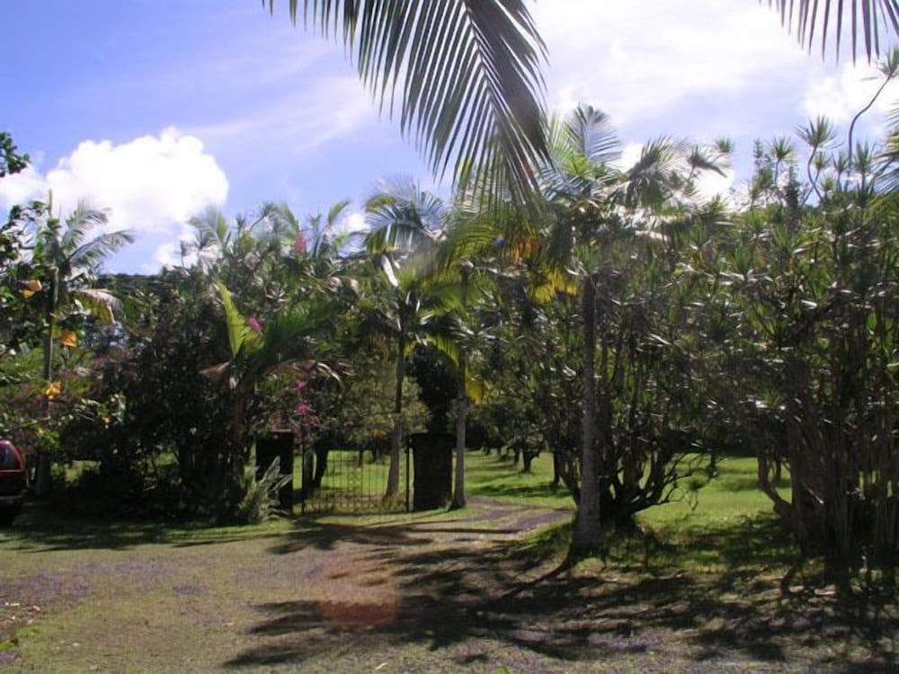 Lava Tree Tropic Inn