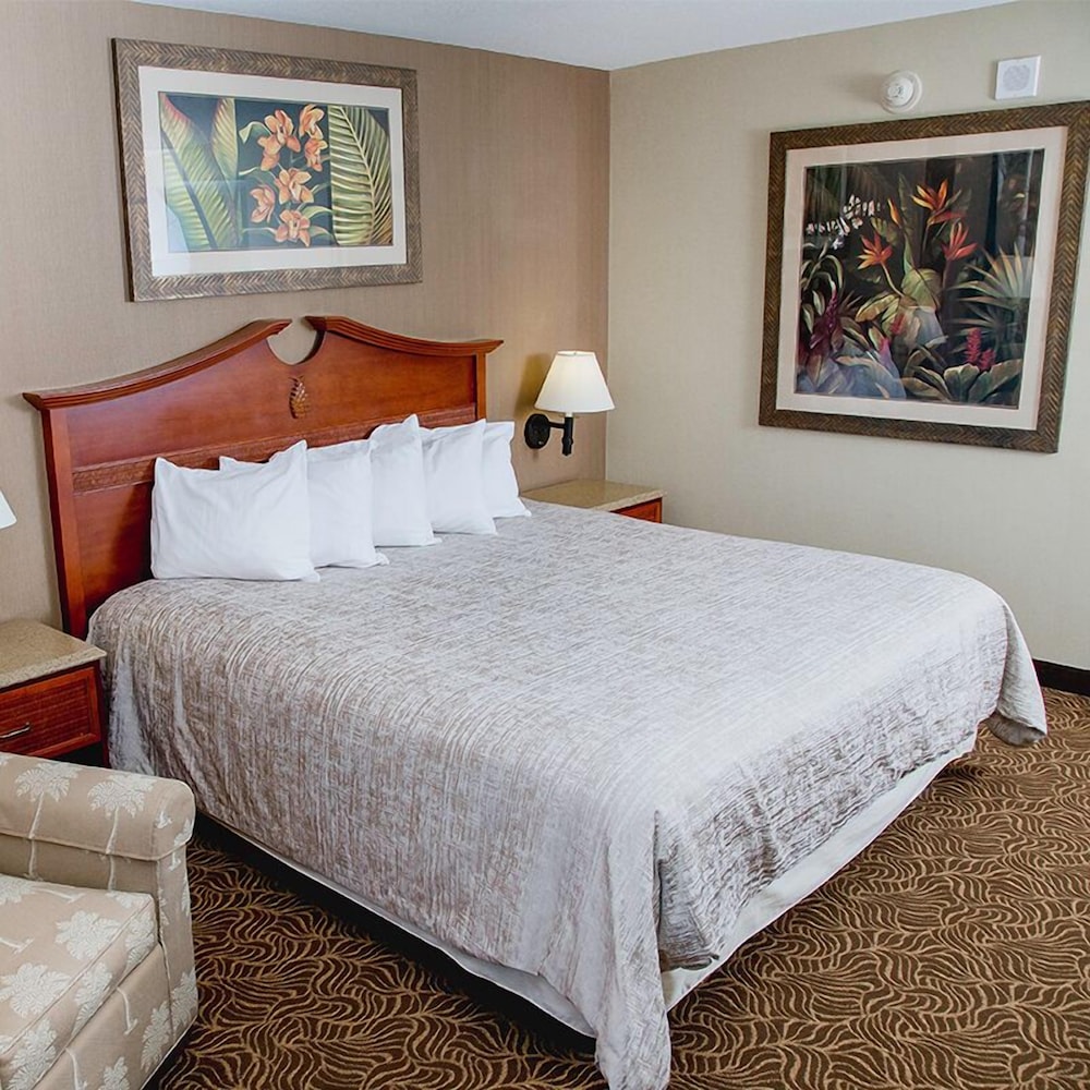 Treasure Island Resort & Casino