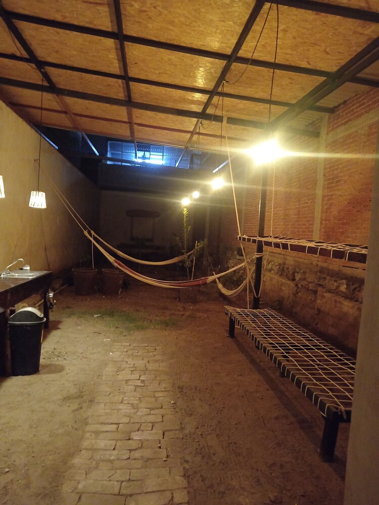 Iguana Co-living