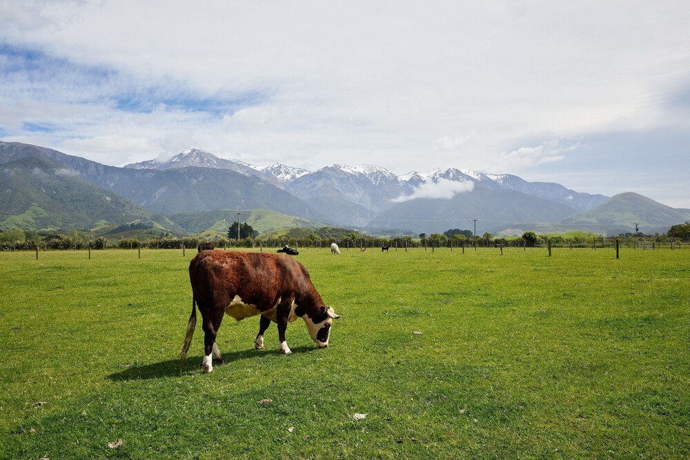 Awatea Country B&B