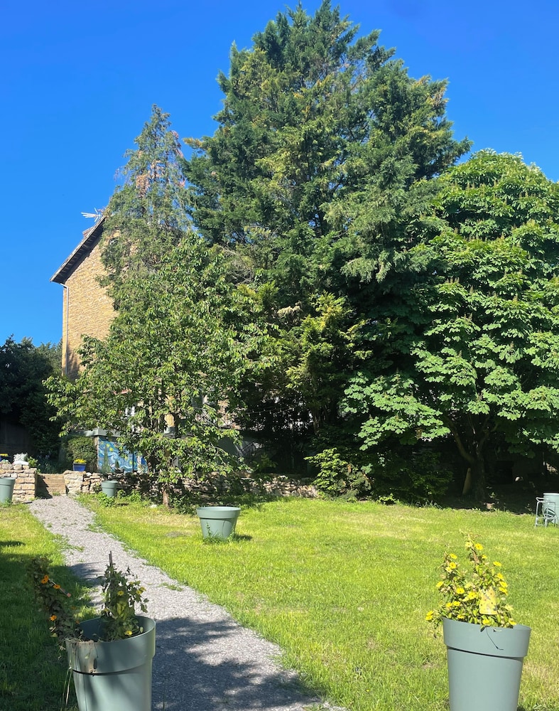 Maison d'Or, photo 8