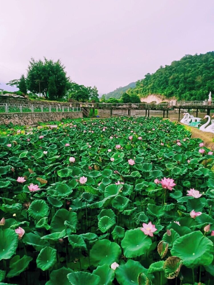 Khu du lich khoang nong UVA