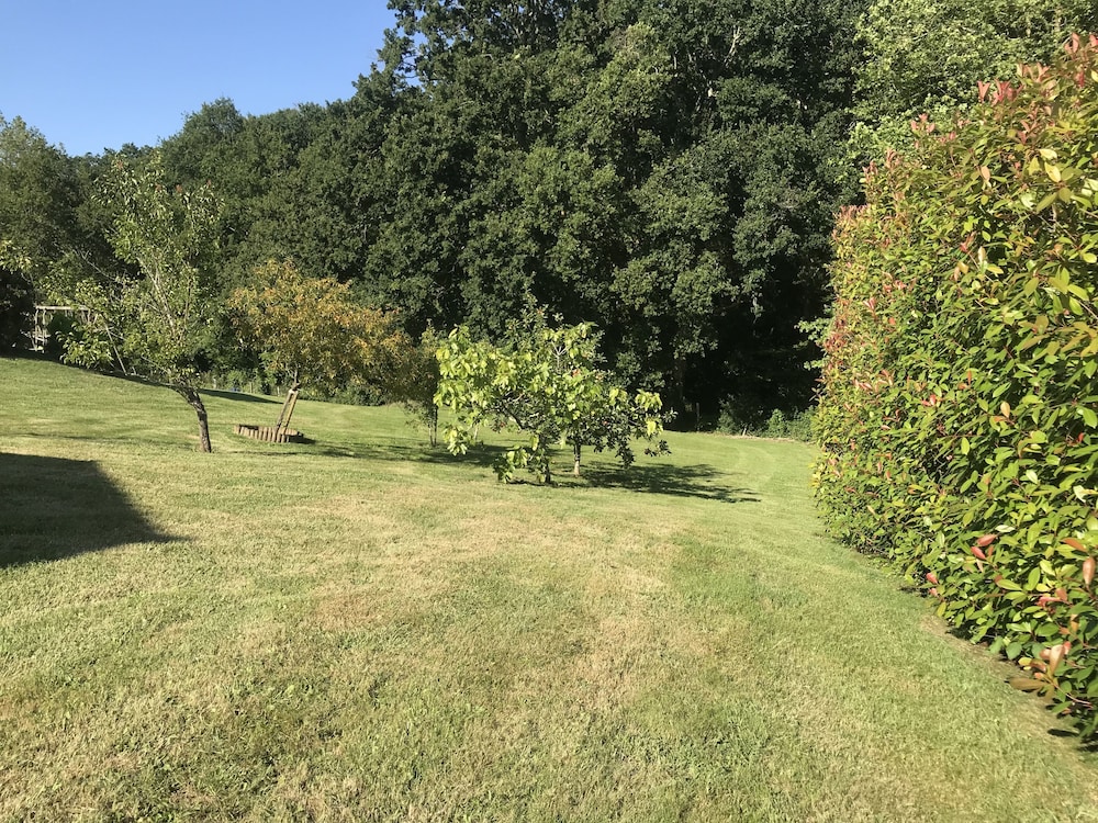 Photo 17