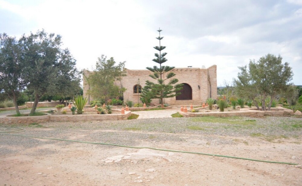 Photo 8