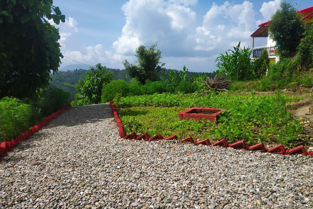 Pine pioneer the eco resort