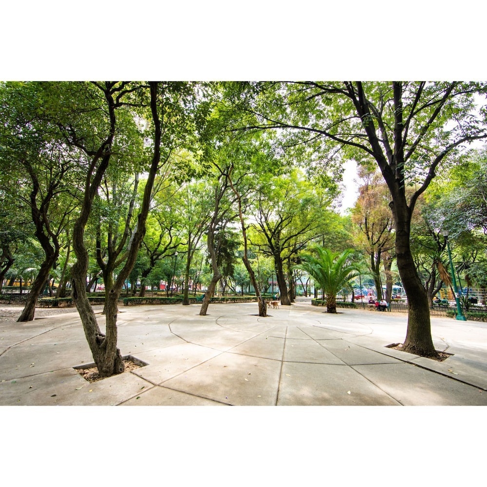 Bright Stylish Park Front Near Polanco photo 4