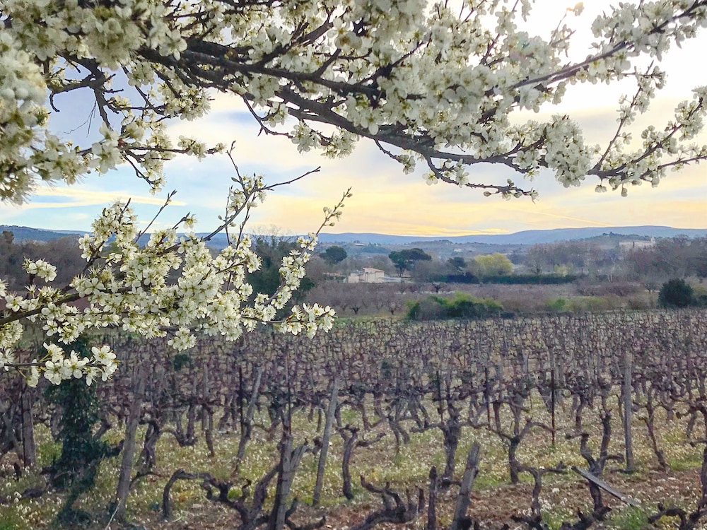 Domaine de La Brave