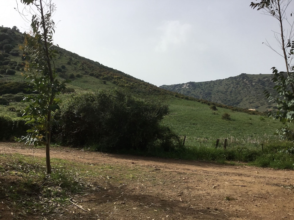 Photo 22