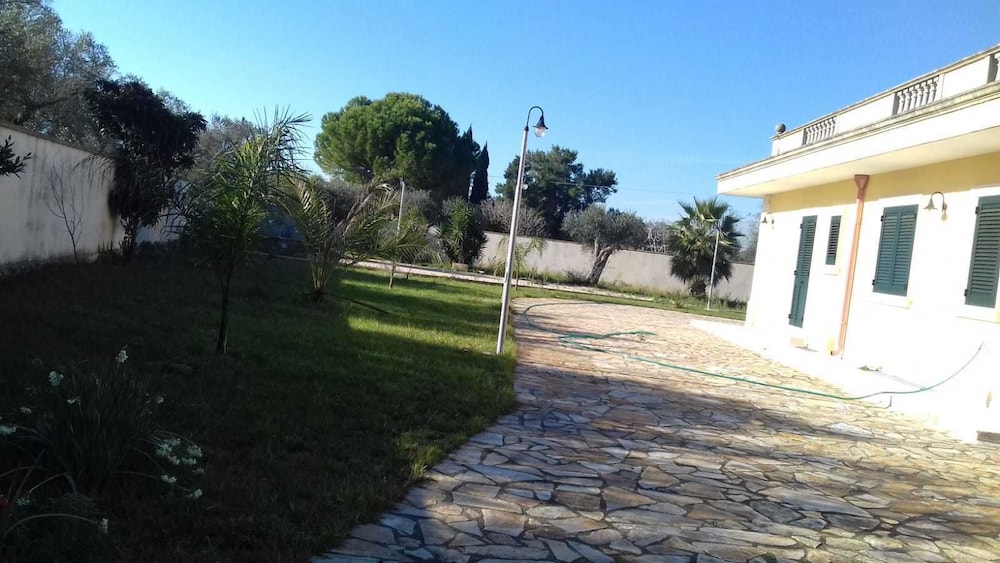 Photo 22