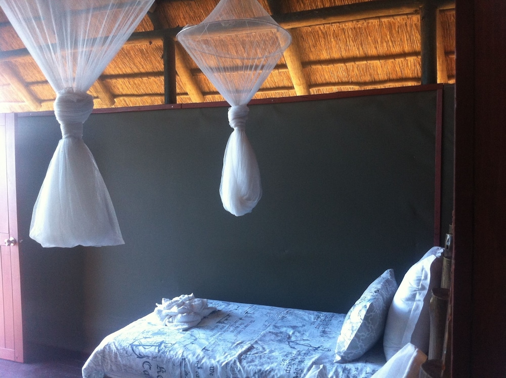 Lion Roars Lodge