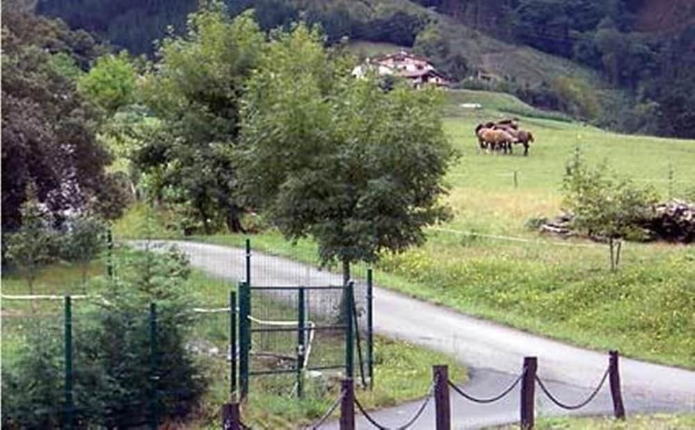 Photo 10