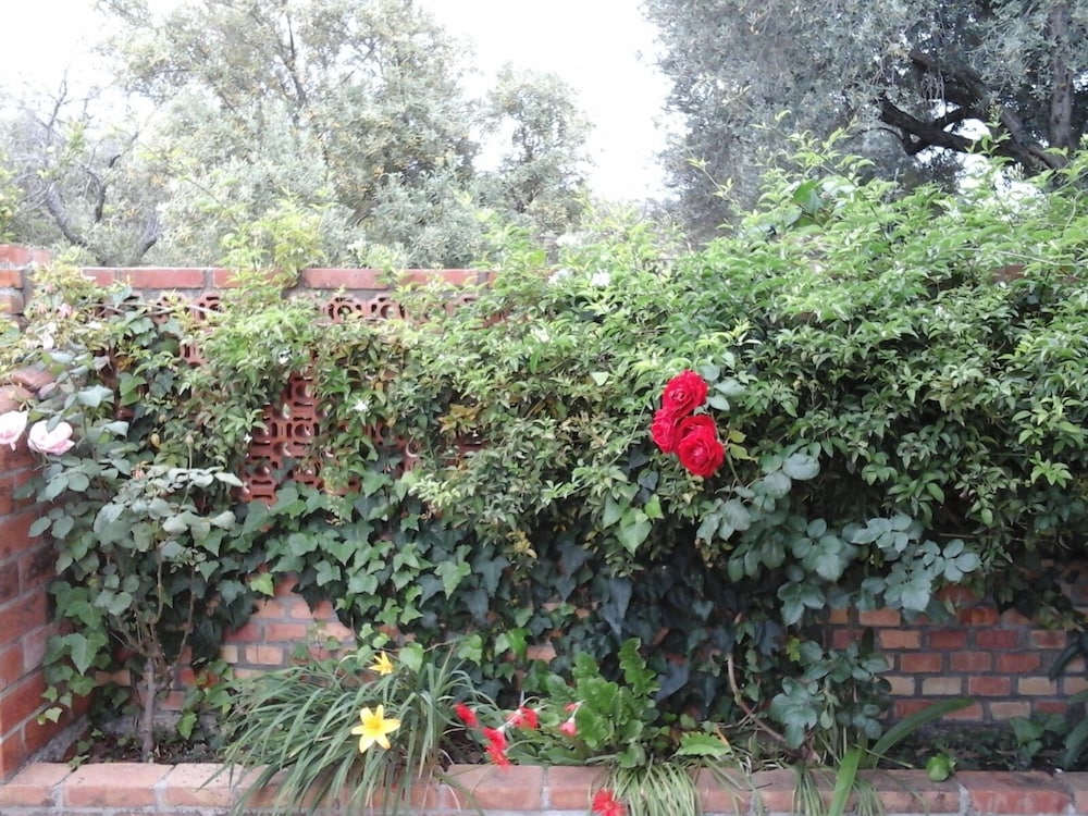 Il Giardino sul Mare view 4